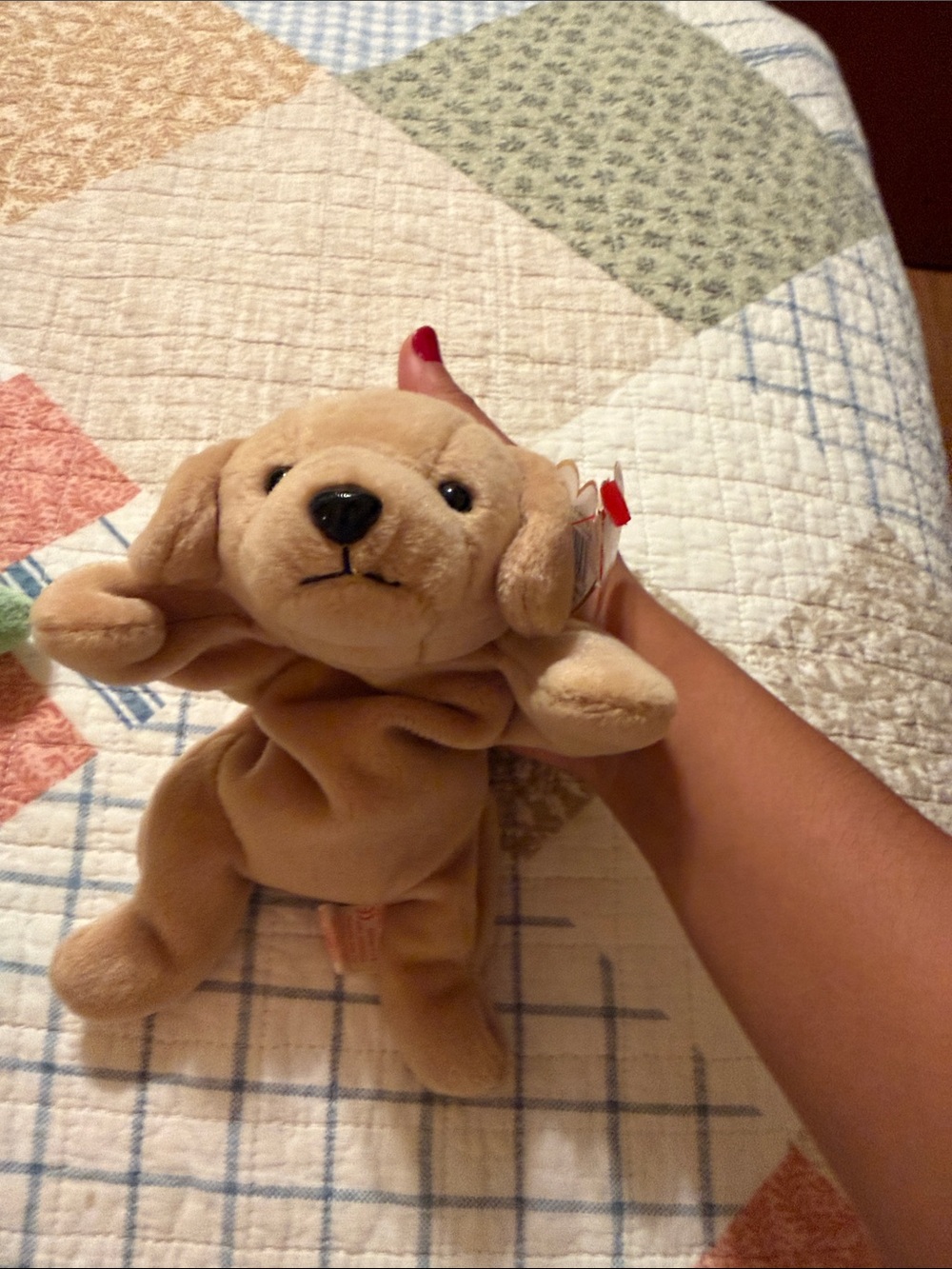 Plush Tan Dog Pet Toy - Soft Squeaky Plush